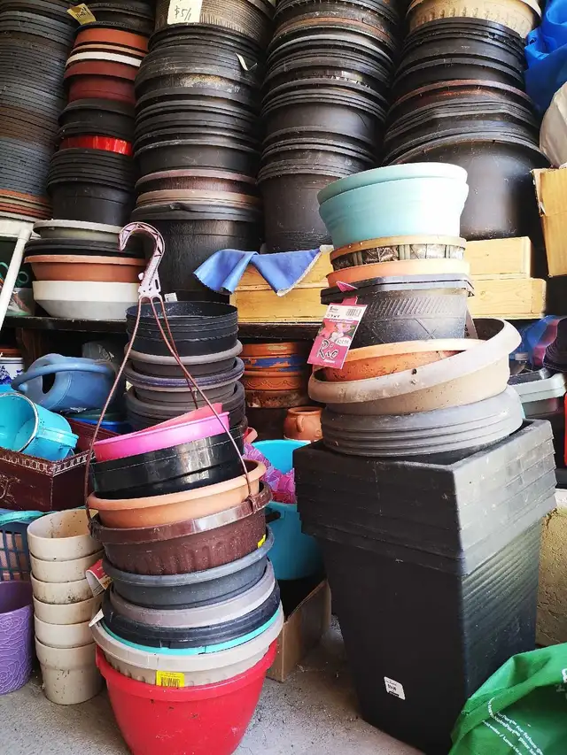 Plants Pots64026027751043121