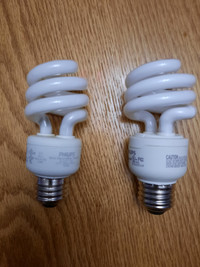 Fluorescent Light Bulbs by Phillips
