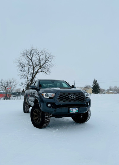 2022 Tacoma TRD sport for sale 
