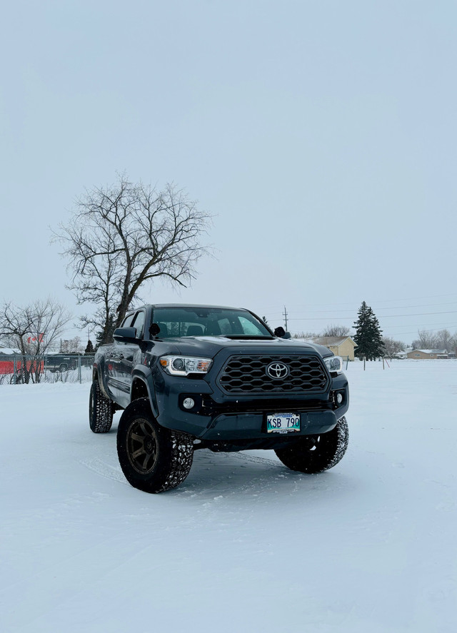 2022 Tacoma TRD sport for sale  dans Cars & Trucks in Winnipeg