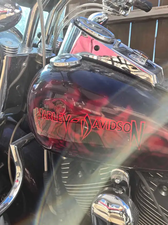 Harley Davidson fatboy 09 in Street, Cruisers & Choppers in Calgary - Image 3