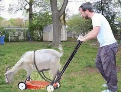 Gas Powered Yard Equipment Repair & Recycling, View more