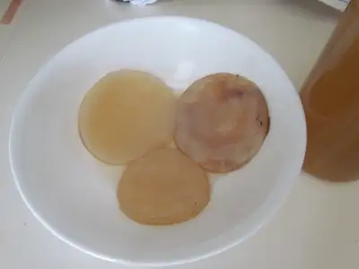 Healthy Organic live Kombucha SCOBY  and 500ml  starter $5, View more