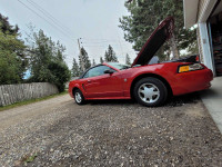 1999 35th anniversary ford mustang v6