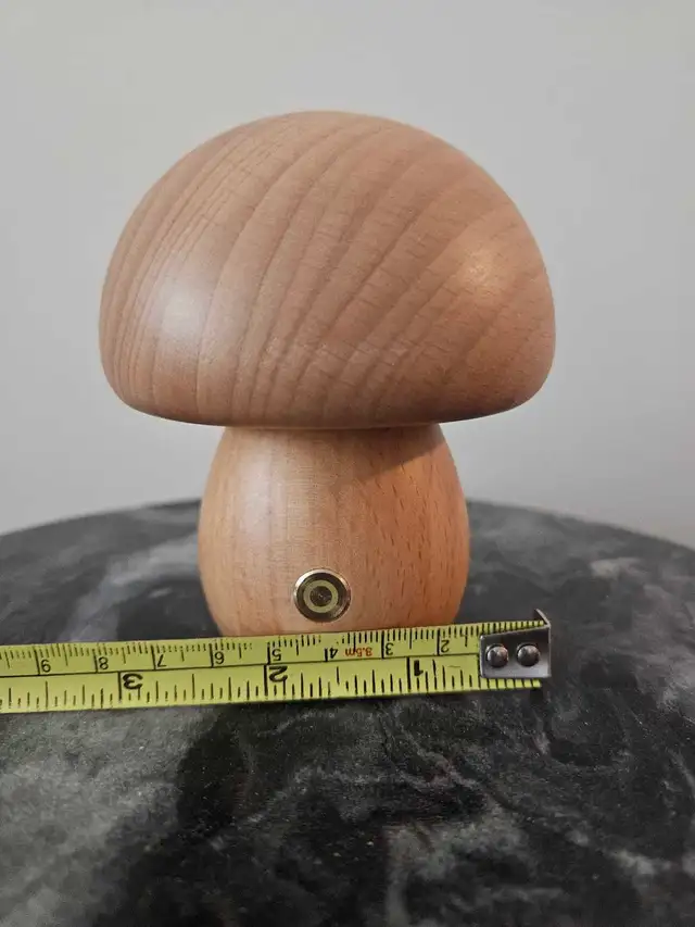 Decorative Cordless Mushroom Lamp in Indoor Lighting & Fans in Oakville / Halton Region - Image 6