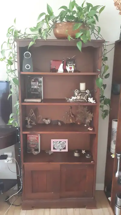 Bibliothèque en bois avec 2 portes coulissantes en bas, 63 po hauteur, 28 po largeur et 10 1/4 po de...