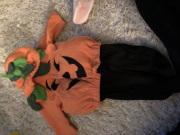Pumpkin costume 