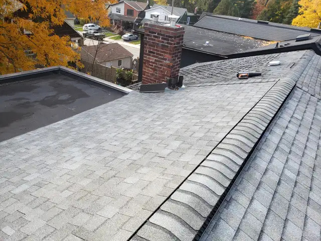 Handyman/eaves cleaning