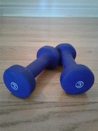 3 lb weights/Exercise mat  for sale