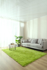 Tapis moelleux 5.3x6.5pds -Vert claire/Carpet rug shaggy