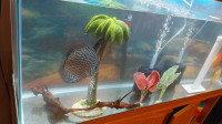 Tree decoration for Aquarium Fish Tank For Sale