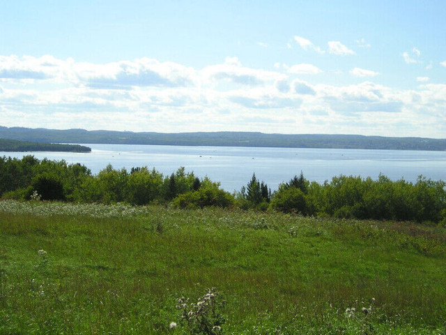 Vacant Land lake Temiscaming dans Terrains à vendre  à Rouyn-Noranda