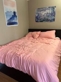 IKEA bed frame and Sealy queen mattress