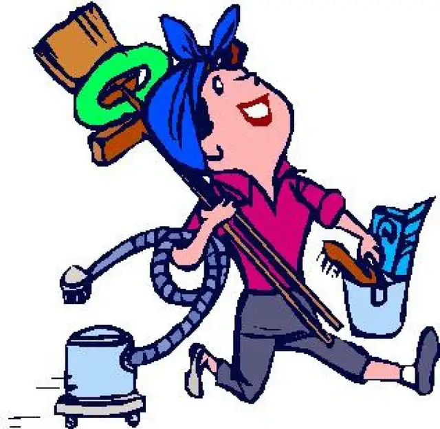 Experienced Cleaning Lady