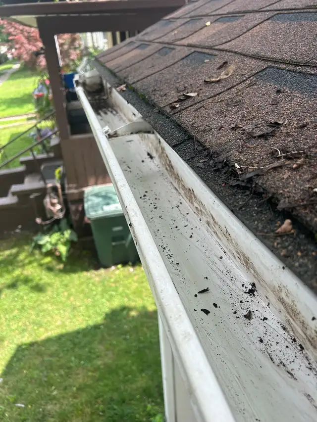 Affordable Gutter Cleaning 419781627746734081