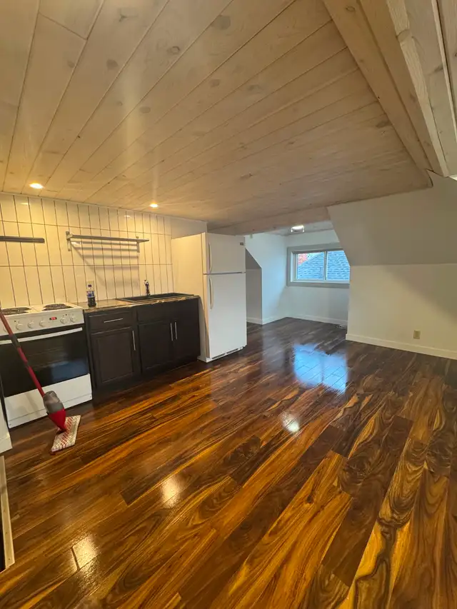Loft Studio Apartment