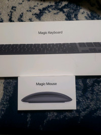 Apple keyboard and mouse  Black 