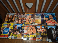 WWE magazines 2002-3 + raw trading cards - all for $60