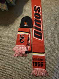 U of Calgary Dinos touque & scarf