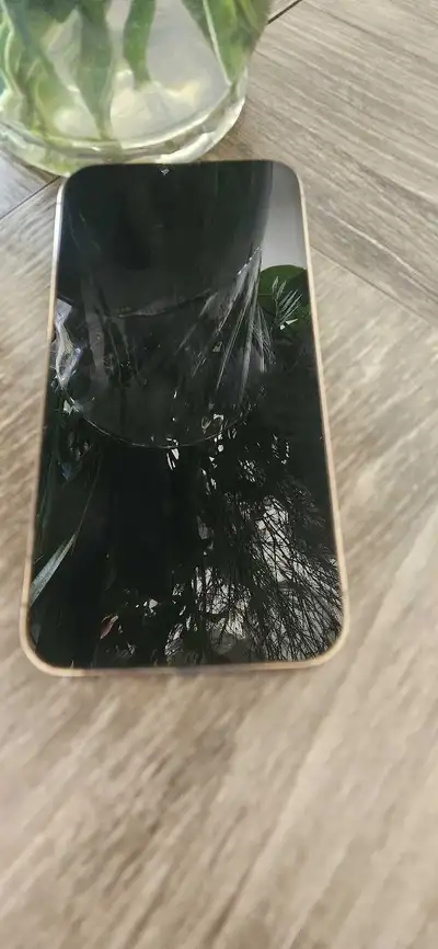 iPhone 13 pro Max, View more
