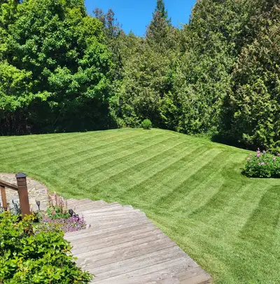 Lawn Mowing & Garden Maintenance, View more