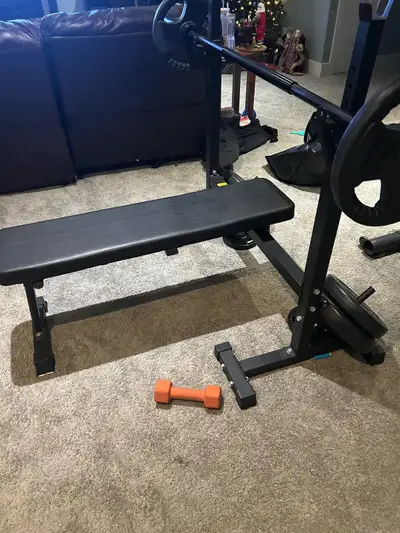Foldable bench for benchpress/ squat, View more