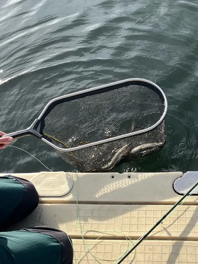Fishing partner