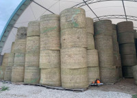 Round Bales of 1st and 2nd cut Hay and 2nd cut Square Bundles