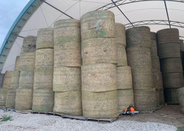 Round Bales of 1st and 2nd cut Hay and 2nd cut Square Bundles in Equestrian & Livestock Accessories in Oshawa / Durham Region