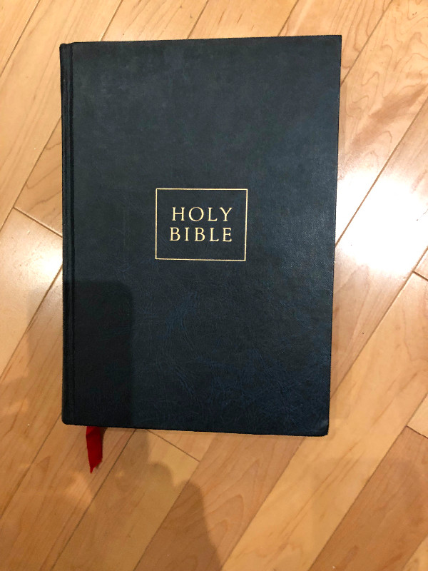 Holy Bible - Illustrated in Other in Peterborough