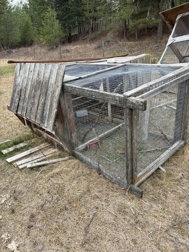 Bird cages free in Birds for Rehoming in Williams Lake - Image 2