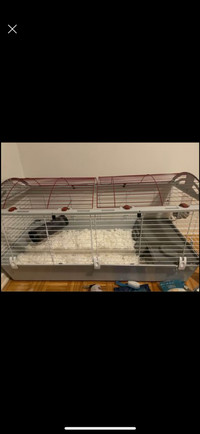Small animal cage (large)
