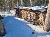Seasoned oak Firewood