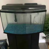 60gal. tank with stand avaliable 