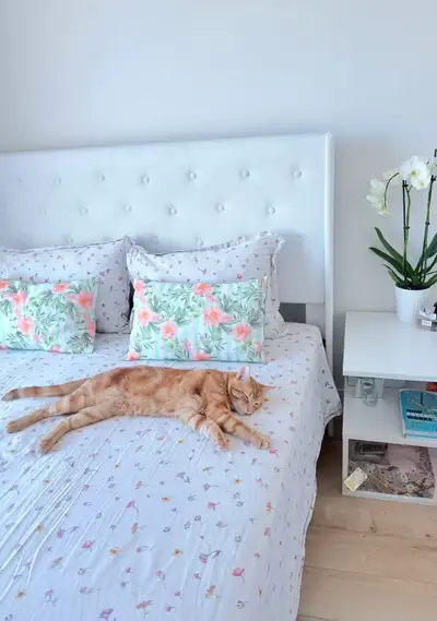 queen bed frame, View more