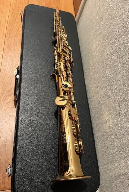 YANAGISAWA S-6 Soprano Saxophone With Case in Other in City of Toronto - Image 3