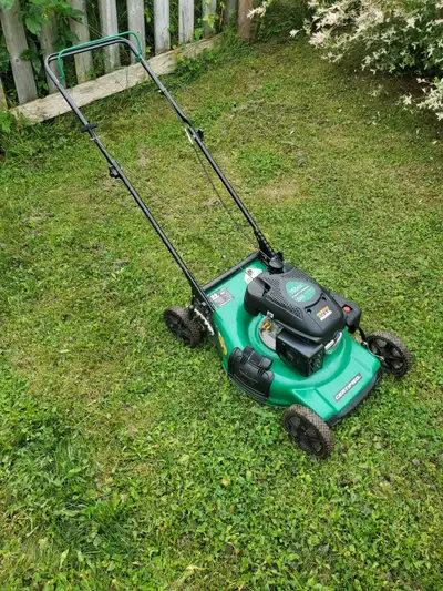 Gas lawnmower Needs nothing ready to roll $200, View more