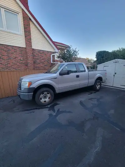 F150 2009 SuperCab XL 2 Door 8 Cyl 4.6L 2 Wheel Dr SuperCab XL Automatic Silver interior/exterior Ma...