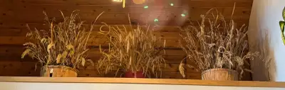  Dried Wheat & Wild Grass Harvest Baskets x3, View more