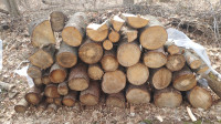 Mix Pine & Spruce Wood for Bonfire