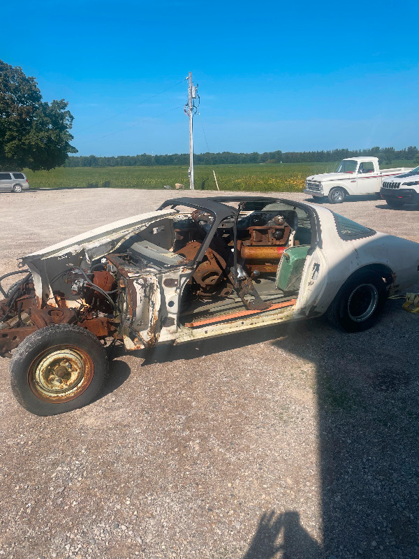 1980 Pontiac Trans Am Shell in Auto Body Parts in Grand Bend
