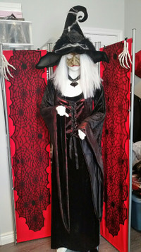 Ladies Mask Witch Costume