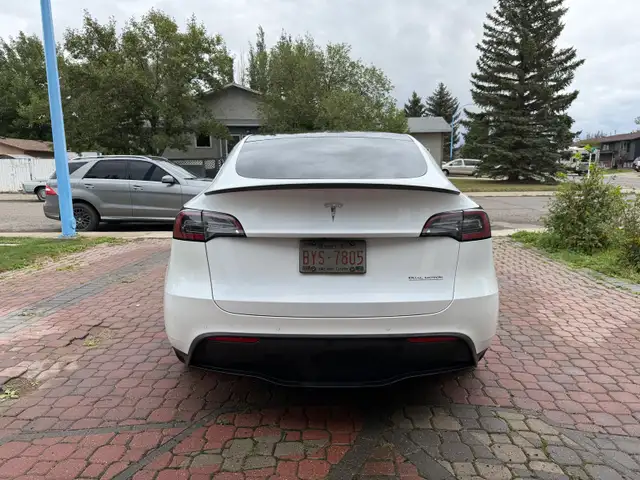 2020 Tesla Model Y Performance AWD558834001684080643