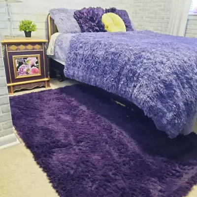 Absolutely beautiful clean and new furnished ROOM FOR RENT downtown Burlington. Everything is includ...