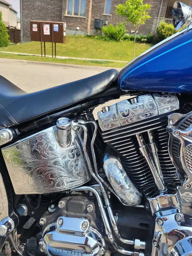 2010 Harley Davidson Softail Deluxe in Street, Cruisers & Choppers in Kitchener / Waterloo - Image 7