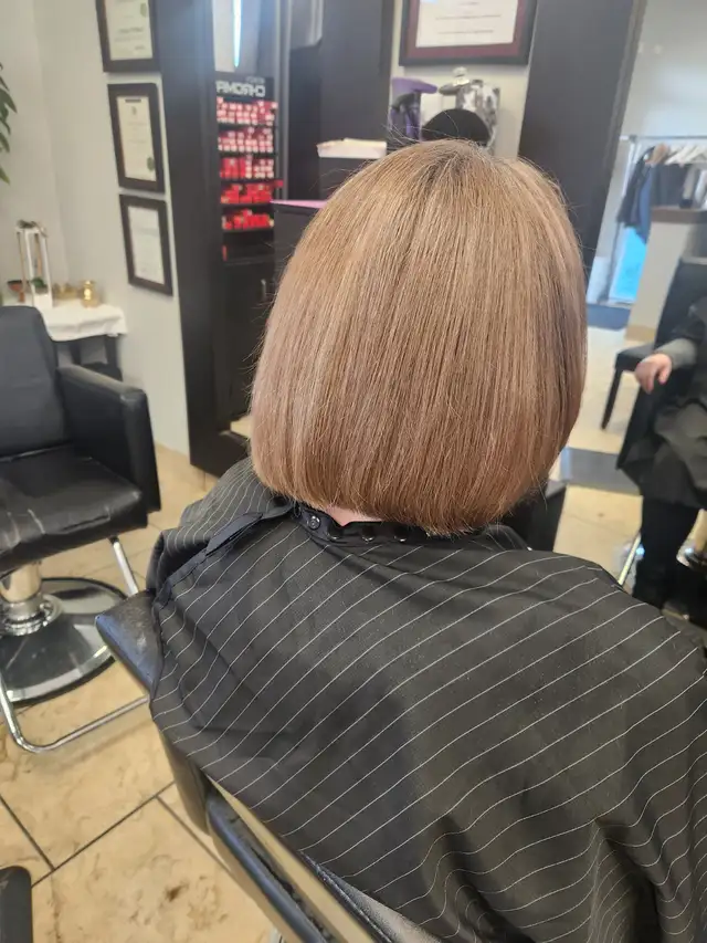 Hilights and Balayage Starting at $16562864742477187123
