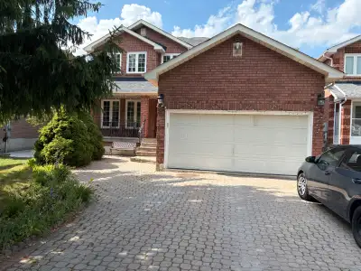 Basement for rent