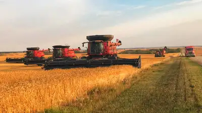 GRAIN FARM HELP WANTED – EP Farms (Fielding, SK), View more