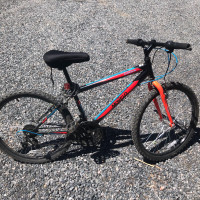 Girls mountain bike for sale 