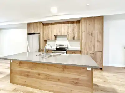 Brand new townhouse for rent 4 bedrooms 4 washrooms 2 garage parking